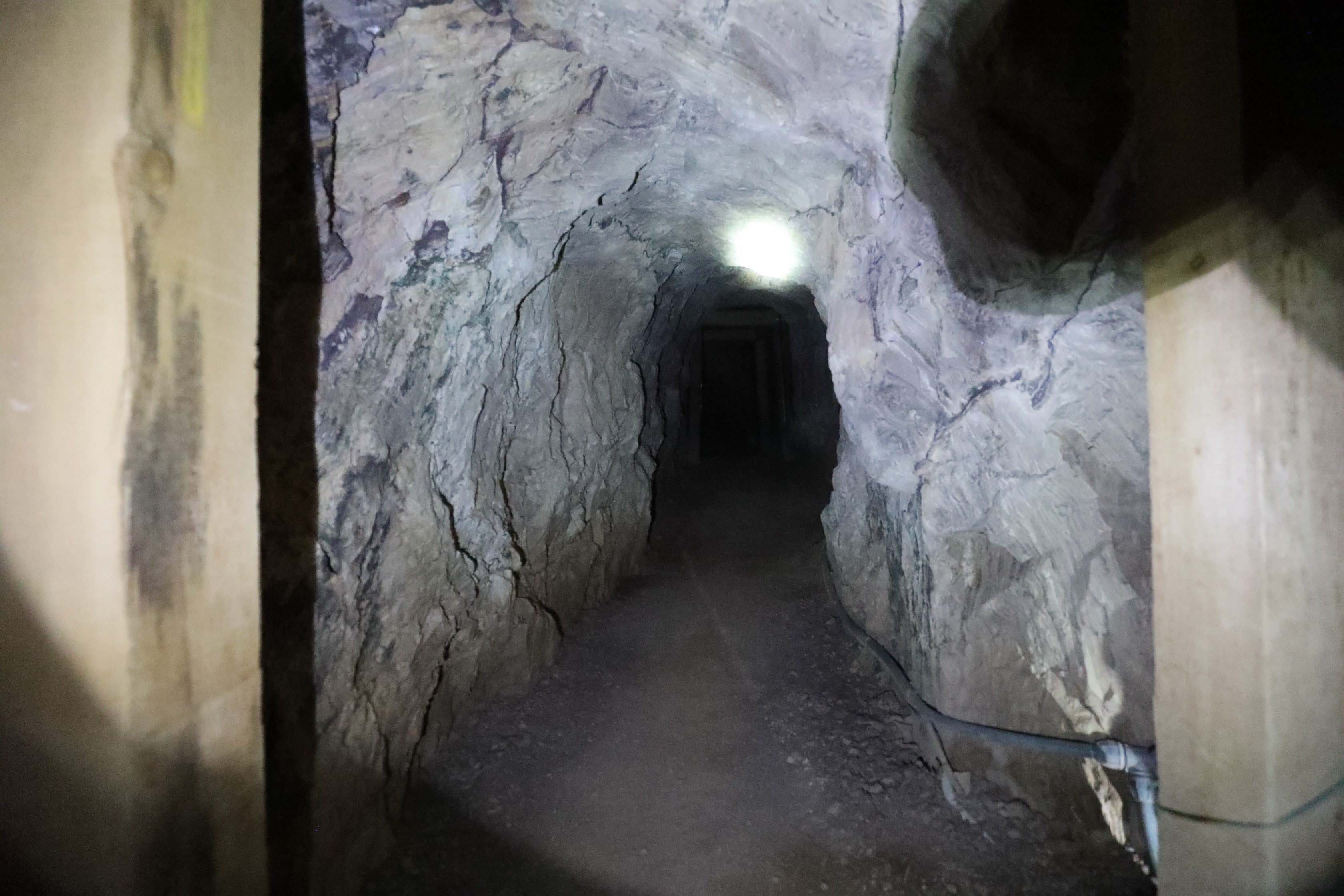 2019 09 01 15 42 51 Canon EOS 5D Mark IV 0006